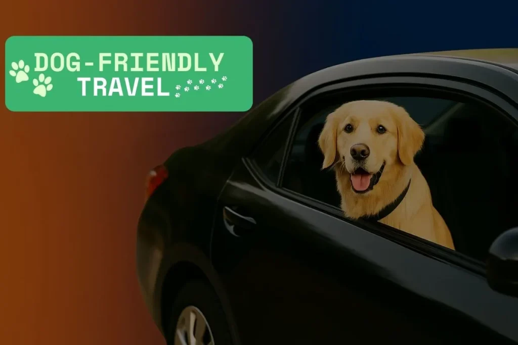 dog friendly travel