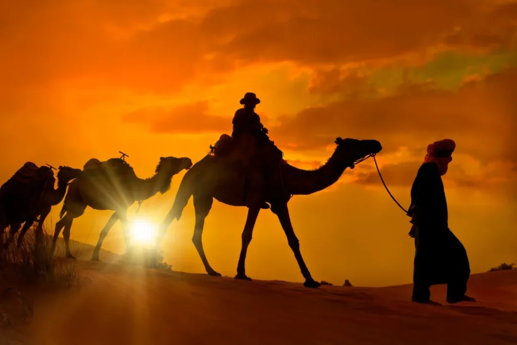 Activities to Do in Marrakech