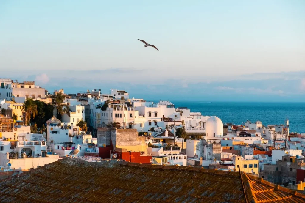 Things to Do in Tangier, Medina