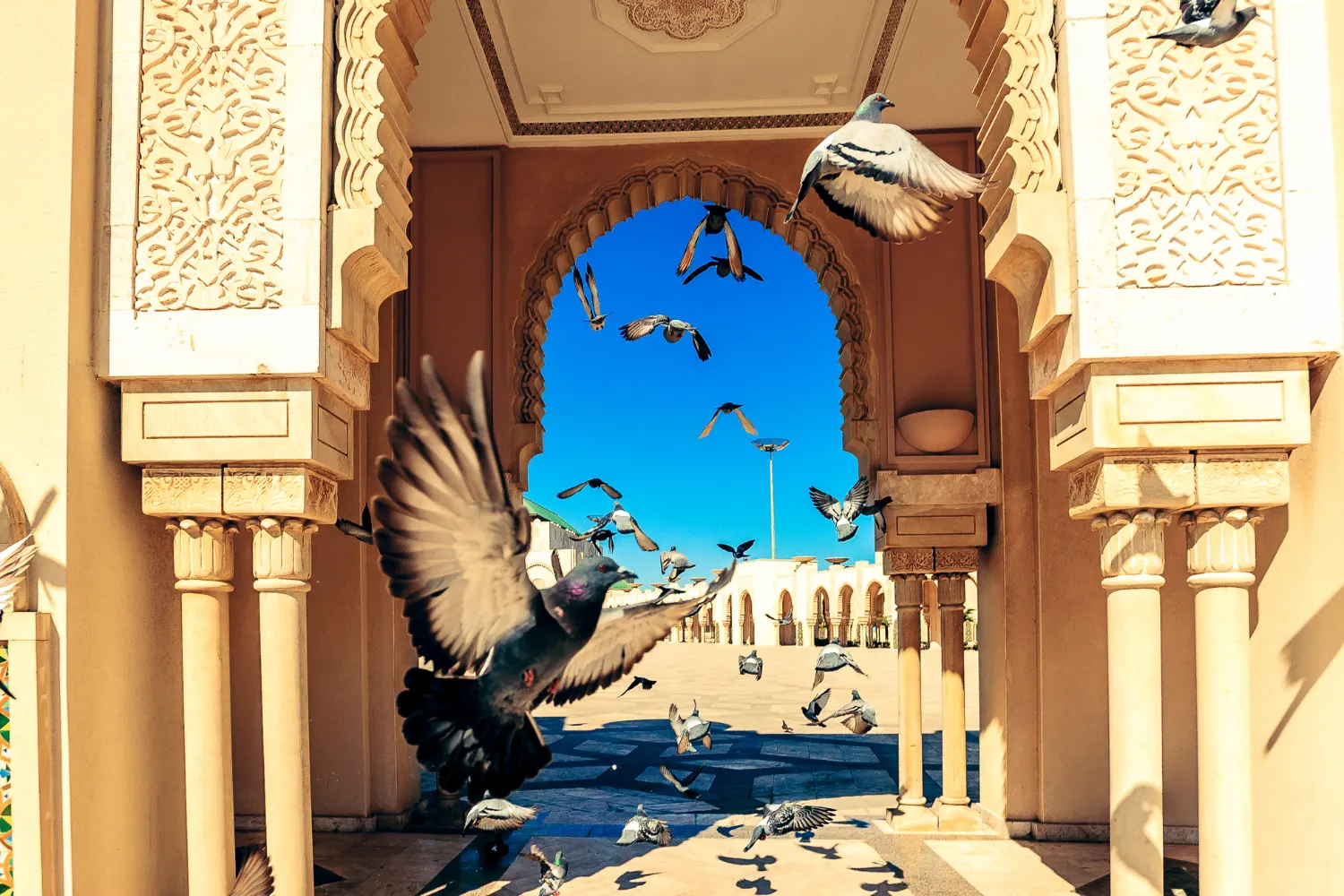 Day Trip From Marrakech to Casablanca
