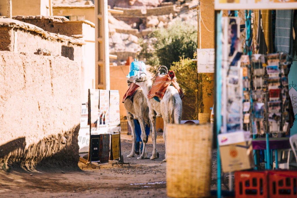 Morocco Private Transport luxury fleet for private driver Marrakech day trips ready at hotel pickup